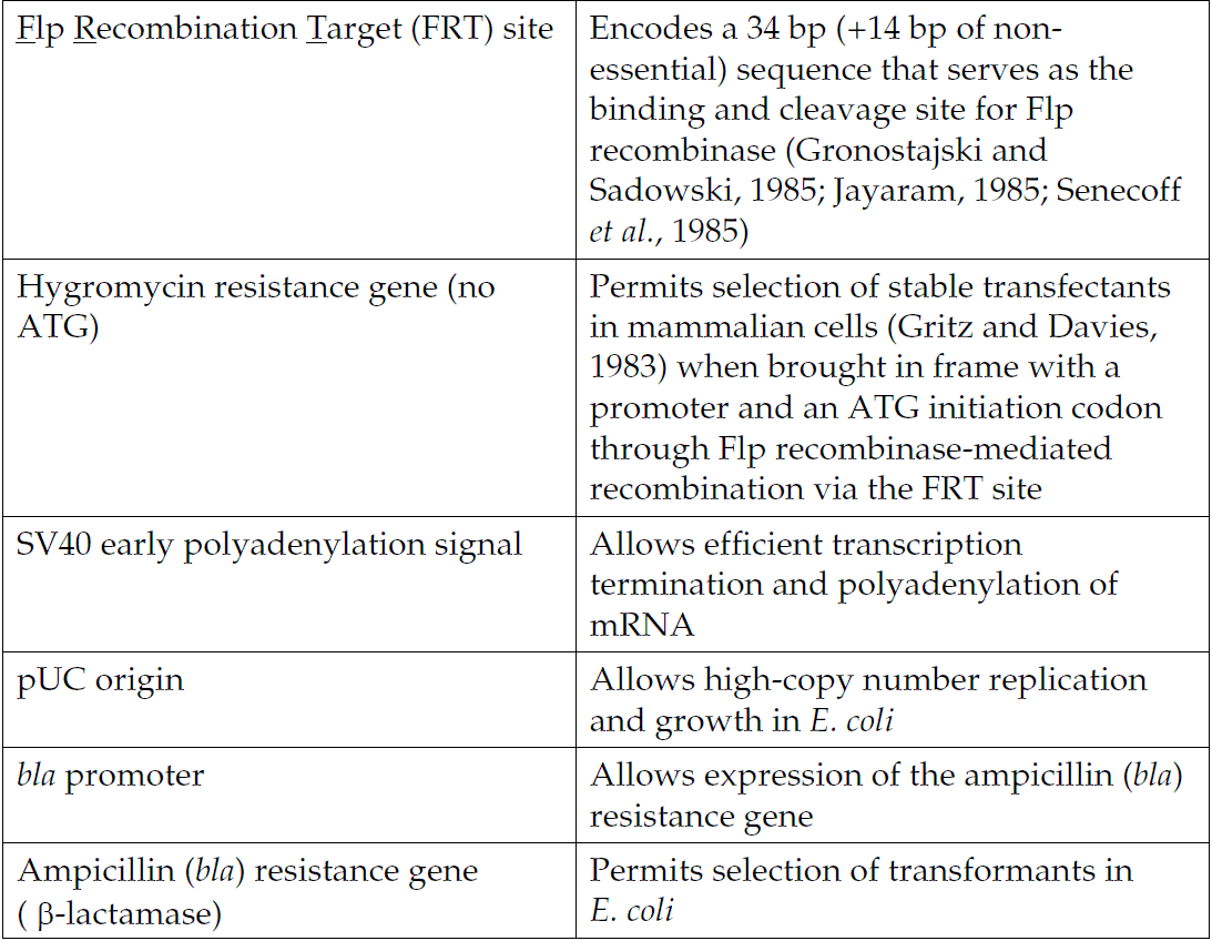 pcDNA5-FRT-TO 载体特征2